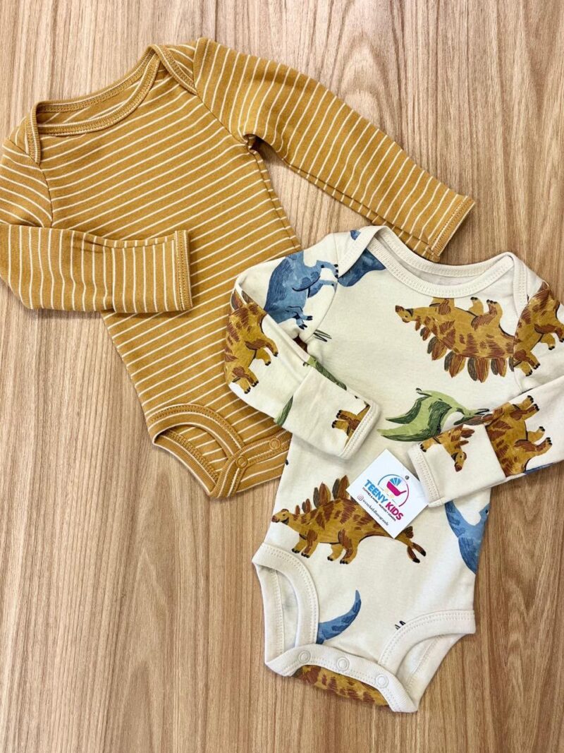 Set Body x2 Dinos
