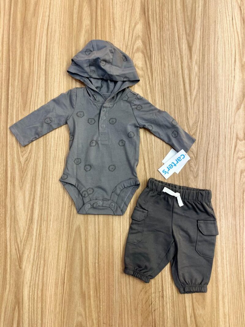 Conjunto leones Carters